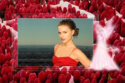 Рамка с тюльпанами, вставить фото в рамку онлайн