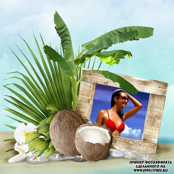 Позитивная рамочка с кокосами и листьями, сделать онлайн