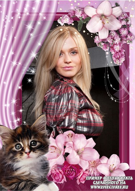 Красивая рамка с котенком и лилиями, вставить фото онлайн
