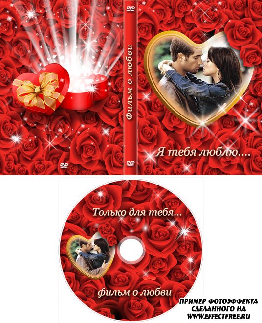 DVD-      ,    