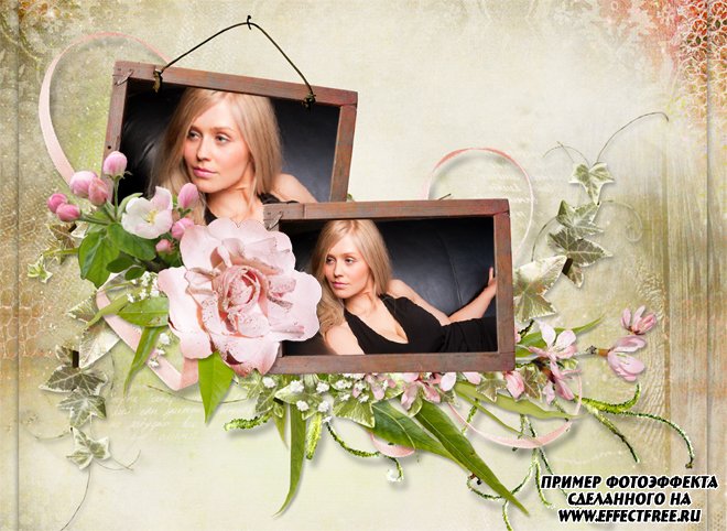 Нежная рамочка с розовыми розами на два фото, сделать онлайн
