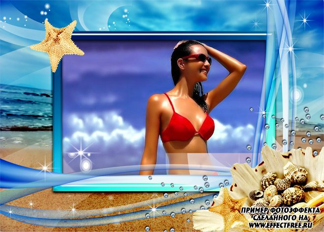 Frame Photography PNG