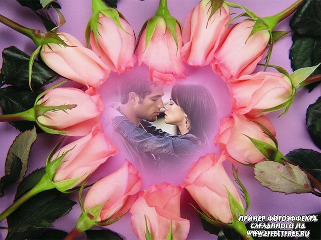 Романтический фотоколлаж в сердечке из розовых роз, сделать онлайн