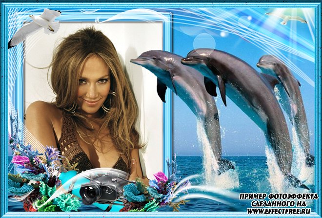 Рамка для фото с дельфинами на море, сделать в онлайн редакторе