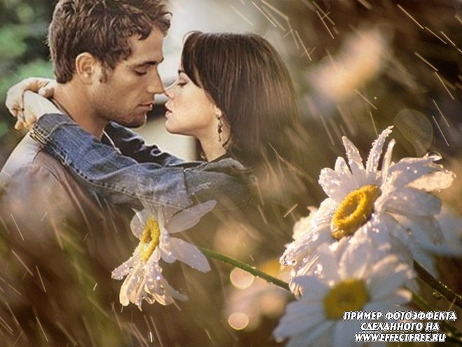 Романтический фотоэффект с ромашками под дождем, вставить фото онлайн
