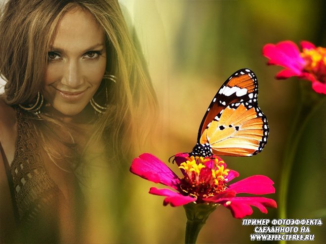 Красивый яркий фотоэффект с бабочкой, вставить фото онлайн