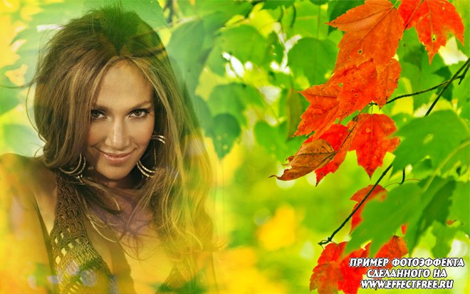 Фотоэффект на тему осени с красивыми осенними листьями, сделать онлайн